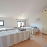 Panorama Punta *